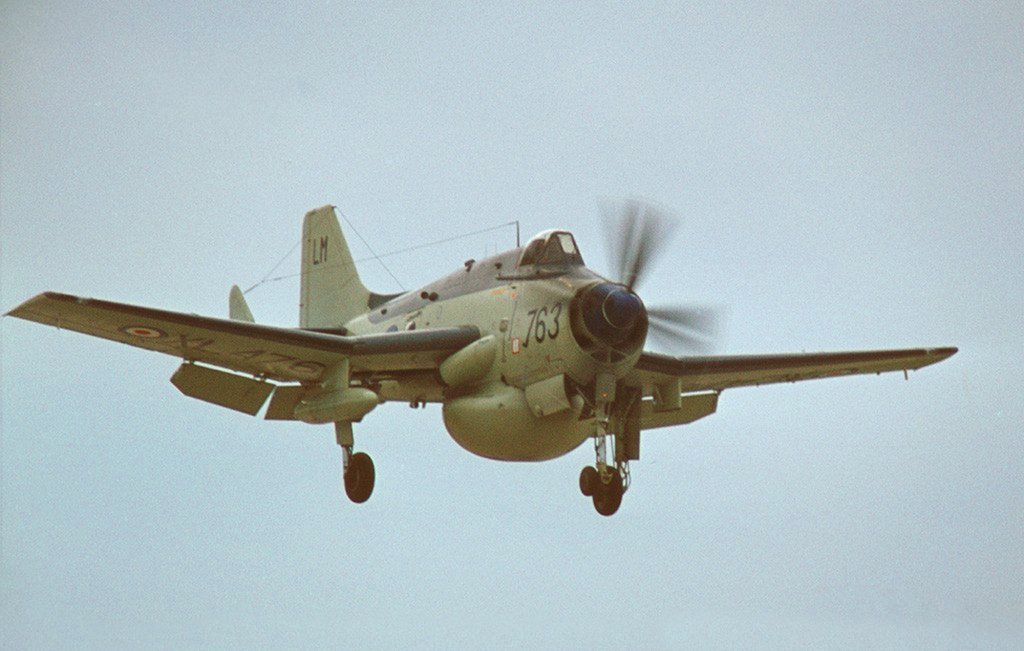 8324.jpg