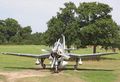 8370.jpg