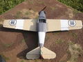 FL3 (79)
