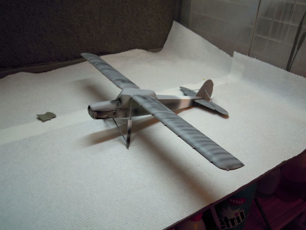 storch_22