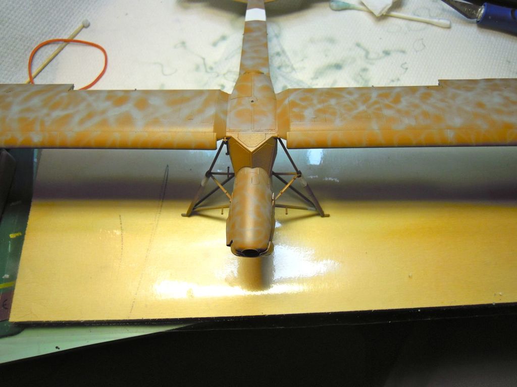storch_26