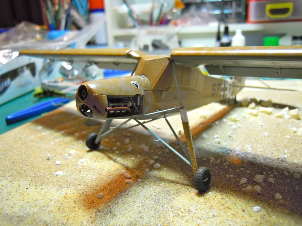 storch_29