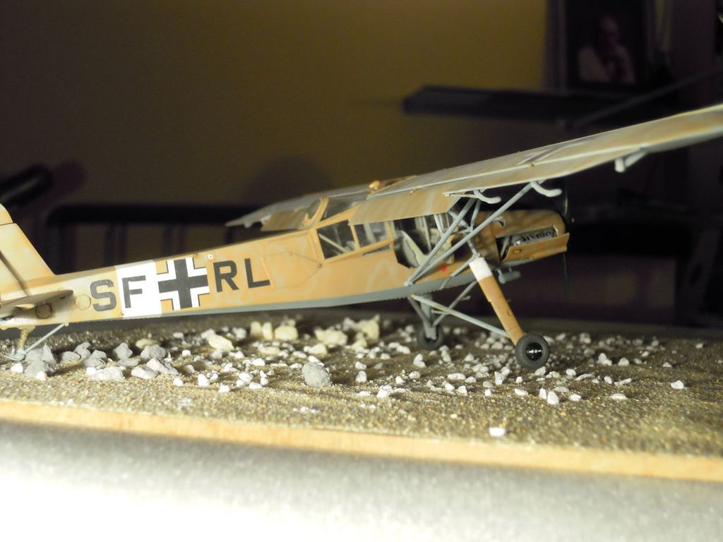 storch_41