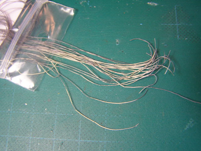 P1250155