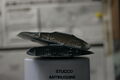 _MG_0960