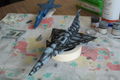SAM_0464
