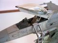 IMG_0062 (2)