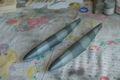 SAM_0709