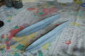SAM_0710