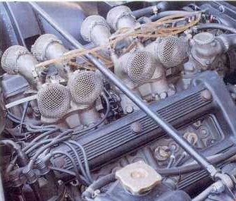 1554534_285283911631167_4347424050161234300_n