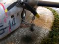 Carrello