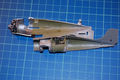 wildcat_019