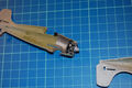 wildcat_022
