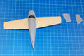 wildcat_026