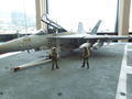 DSCN2535