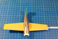 wildcat_027