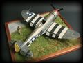 P-47 Thunderbolt 1:32