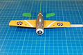 wildcat_033