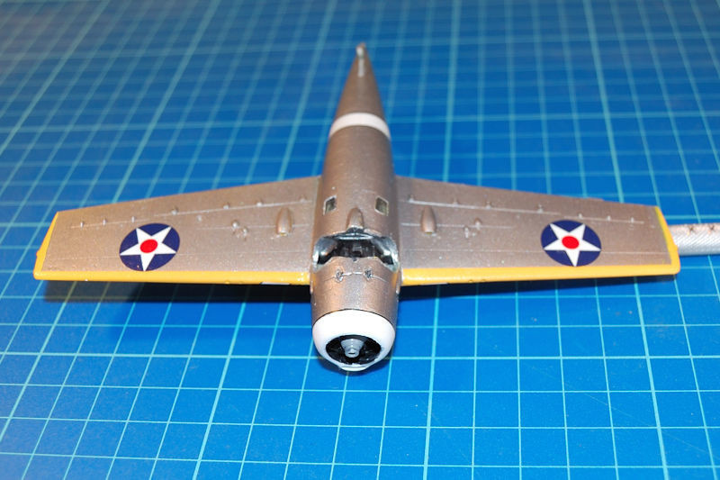 wildcat_036
