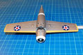 wildcat_036