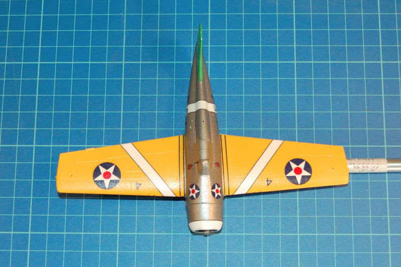 wildcat_037