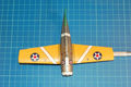 wildcat_037