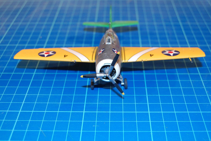 wildcat_039