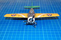 wildcat_039