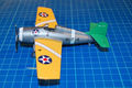 wildcat_040