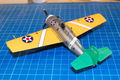 wildcat_041
