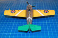 wildcat_042