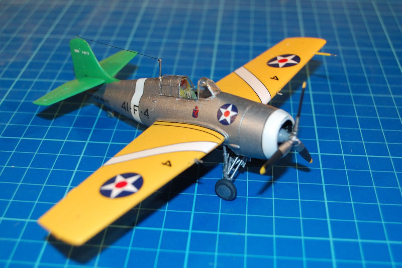 wildcat_045