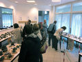 IMG_2939_800