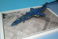 SAM_2496