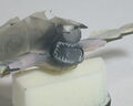 Hawker Typhoon 010 (colorazione insegne 7 grigio Shark Mouth 4)
