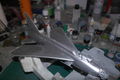 SAM_4131