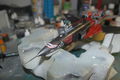 SAM_4433