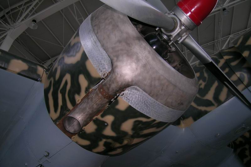 DSCN0500