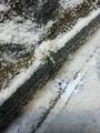 IMG-20160516-WA0027