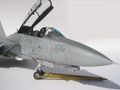F-14A+ (15)