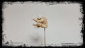 20160731_112931