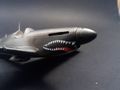 fase 5 colorazione 3 (shark mouth-linee coda 3)