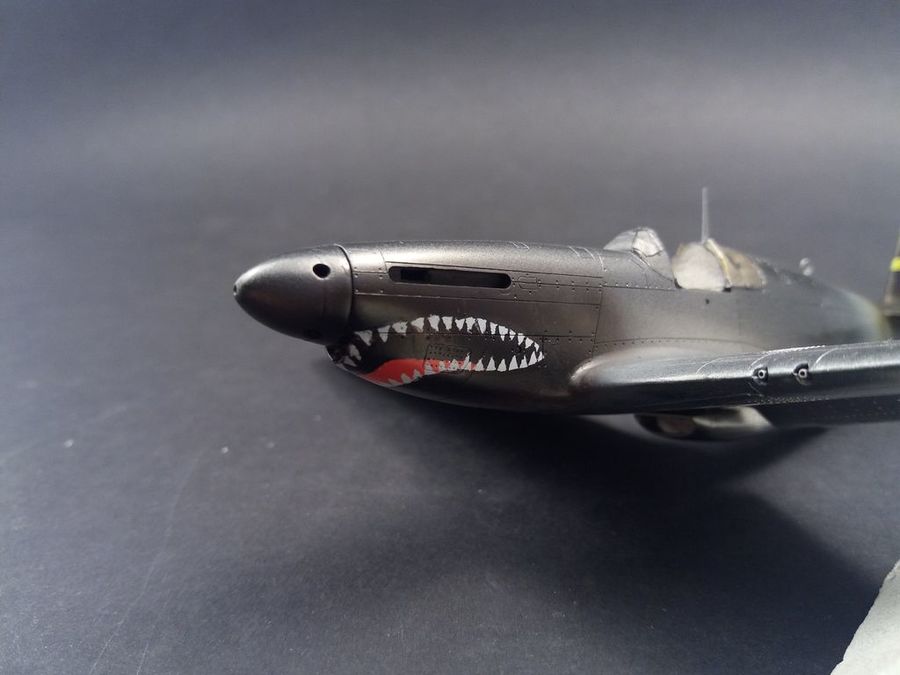fase 5 colorazione 3 (shark mouth-linee coda 4)