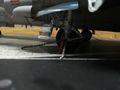 IMG-20161009-WA0010
