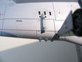 IMG_2950-web