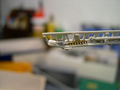 DSCN2277