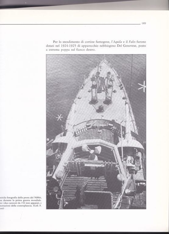 aquila
