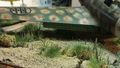 IMG-20170714-WA0007