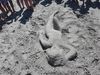 IMG_20170812_121300