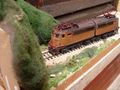 Copia di SDC12395